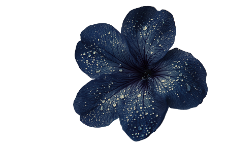 Bunga Biru Top Left